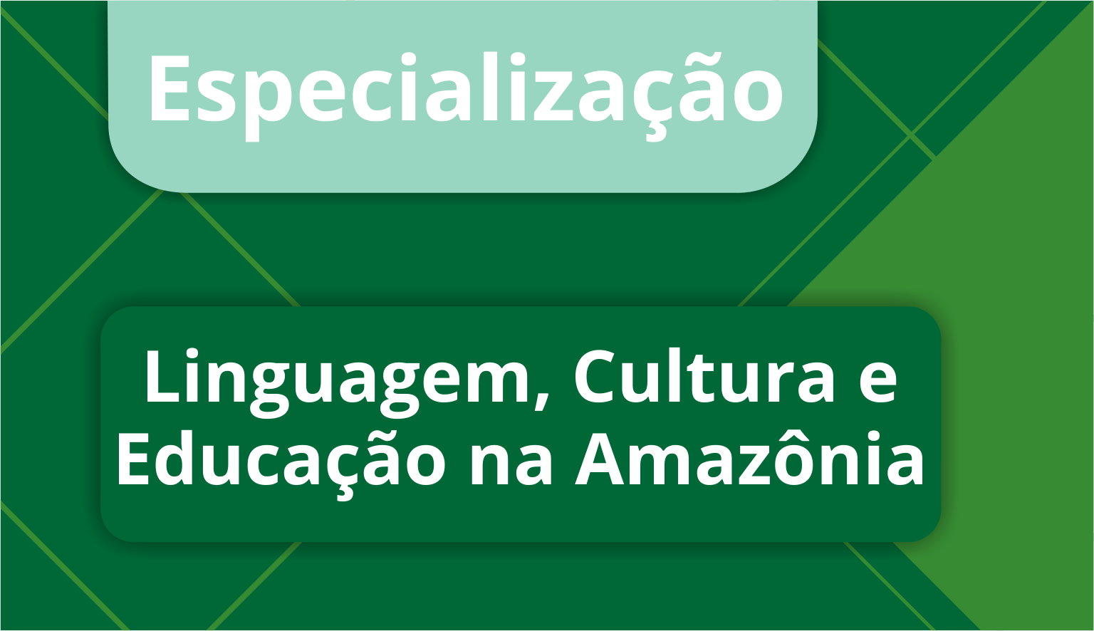 Esp. em Linguagem e Cultura na Amazônia