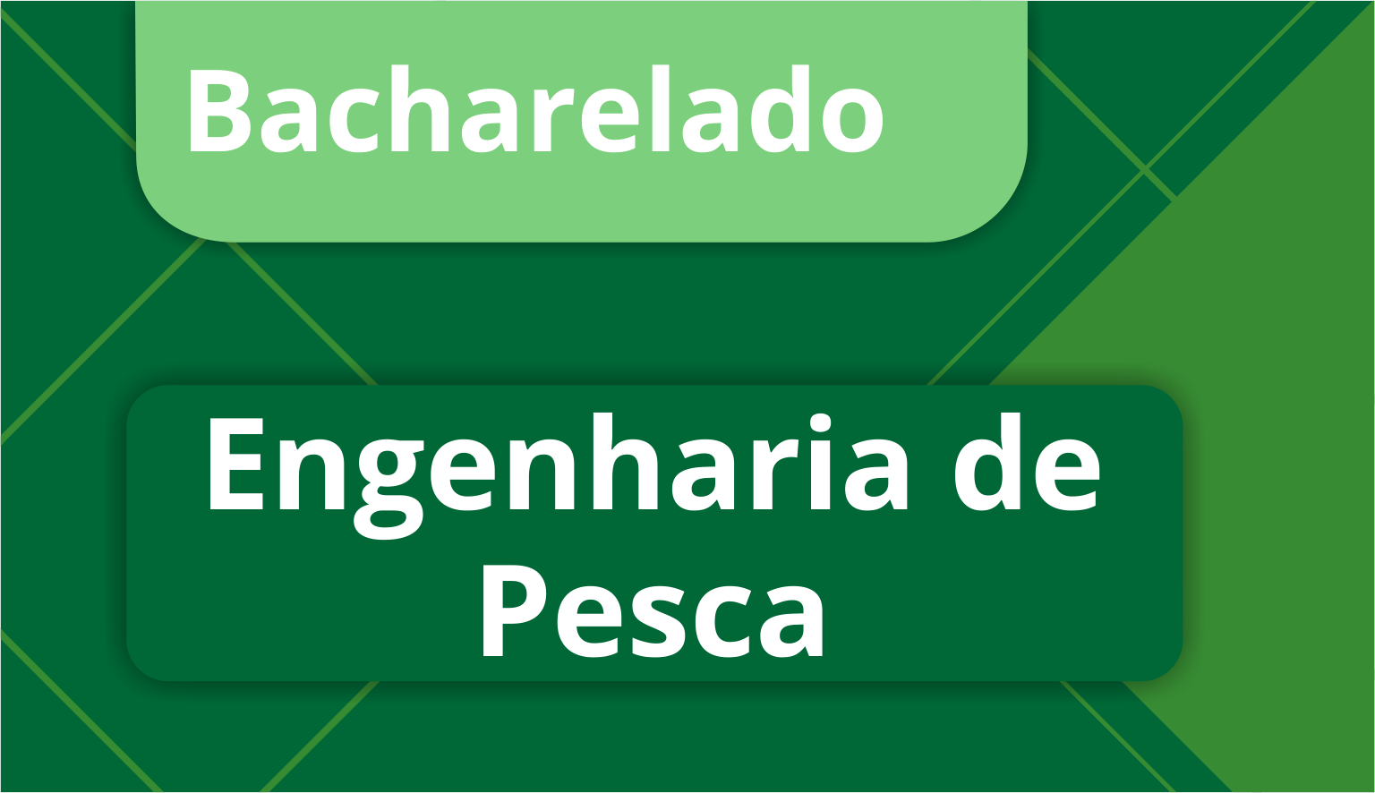 Engenharia de Pesca